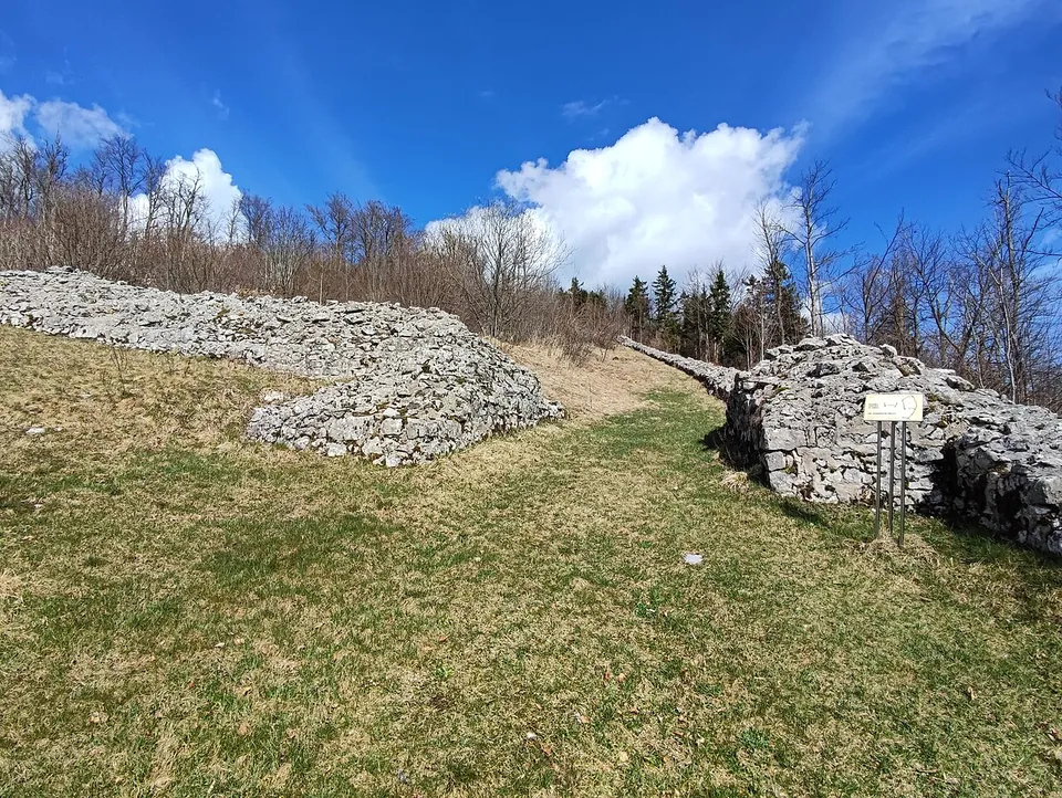 Two banks of piled pale limestone rubble, waist to head high, ending either side of a grassy gap, with a small information sign on a post and bare trees behind.