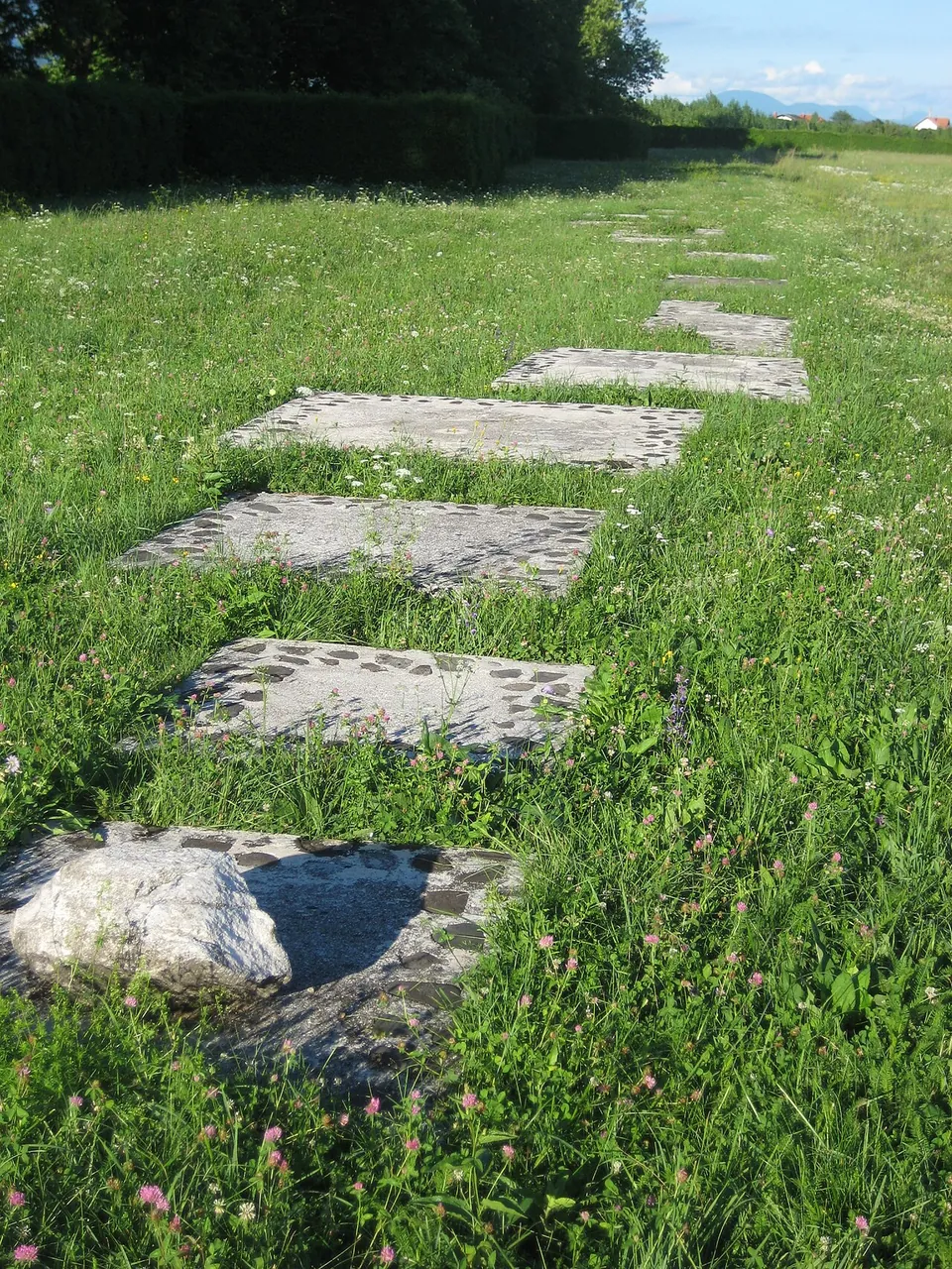 A line of flat stone slabs set into long grass, running away from the camera across a meadow towards trees.